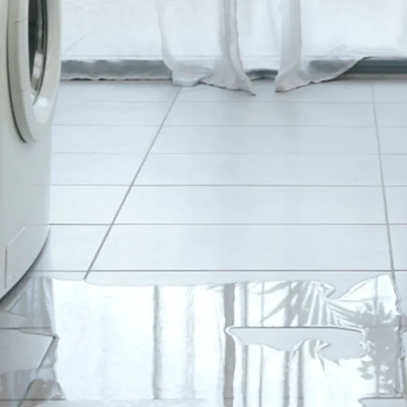 Appliance Leak Cleanup in Glennville, GA