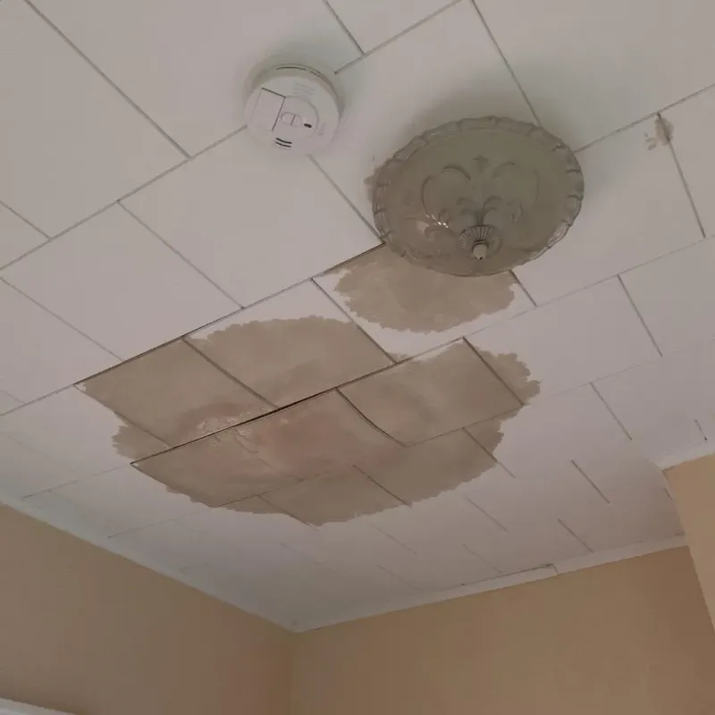 Ceiling Water Damage Repair in Glennville, GA