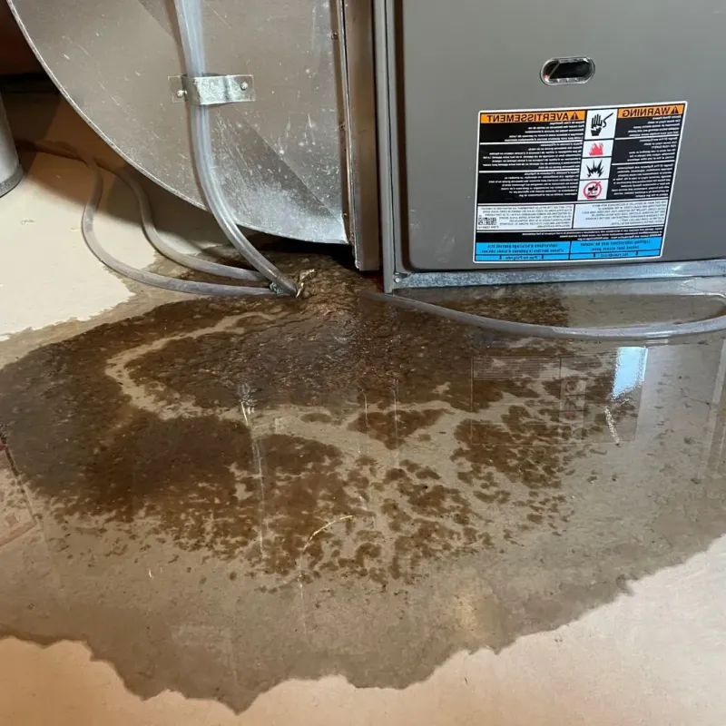 Pipe Burst and Leak Restoration in Glennville, GA