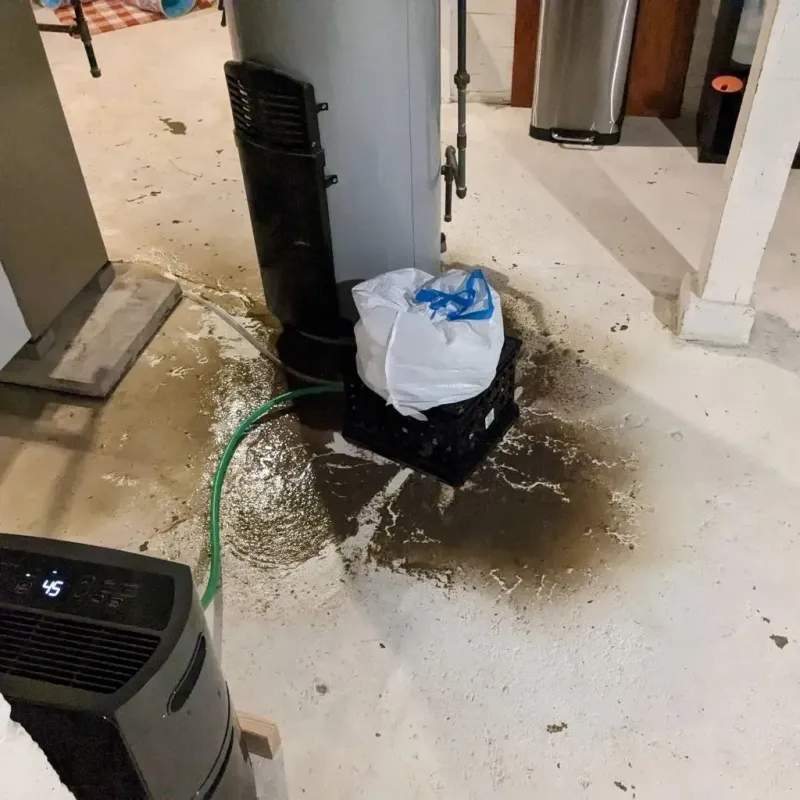 Sewage Backup Cleanup Service in Glennville, GA